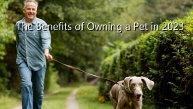 owning a pet