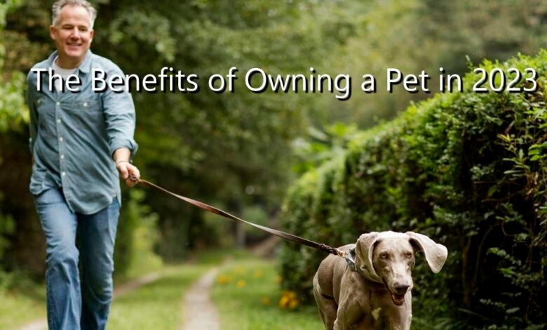 owning a pet