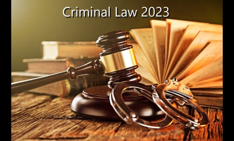 A Comprehensive Guide to Criminal Law in 2023