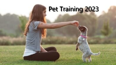 training your pet 2023