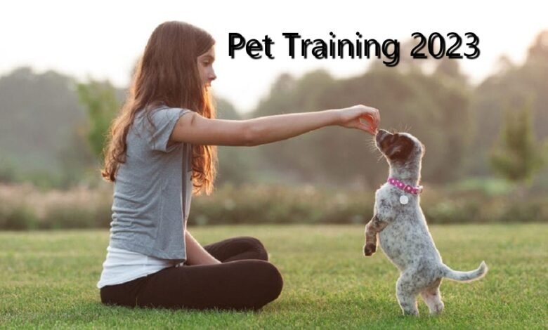 training your pet 2023