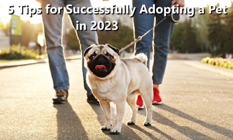 5 Tips for Successfully Adopting a Pet in 2023