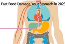 The Grim Reality: How Fast Food Damage Your Stomach in 2023