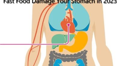 The Grim Reality: How Fast Food Damage Your Stomach in 2023