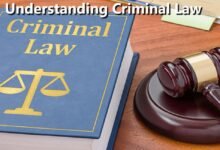 Understanding Criminal Law
