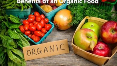 organic food